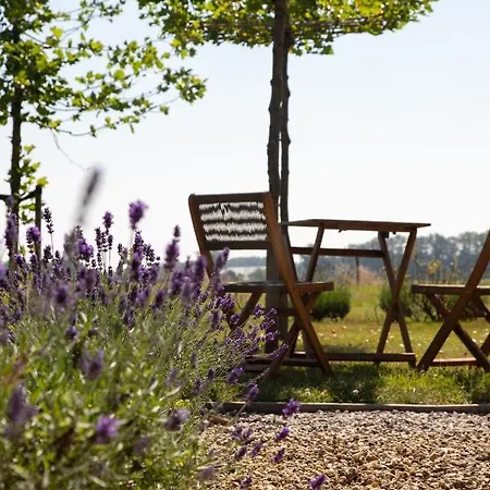 The Cat And The Owl Bed & Breakfast 3*
