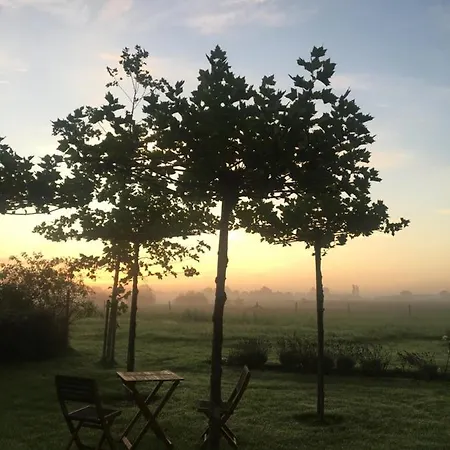 The Cat And The Owl Bed & Breakfast Groenlo