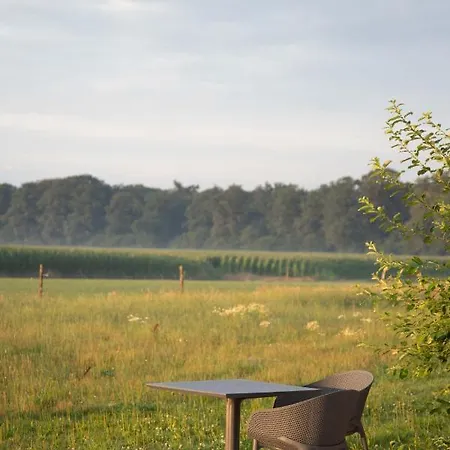 Bed & Breakfast The Cat And The Owl