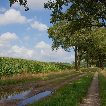 Bed & Breakfast The Cat And The Owl