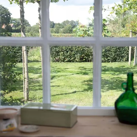 Bed & Breakfast The Cat And The Owl 3*