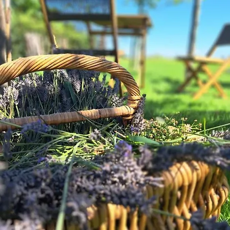 Bed & Breakfast The Cat And The Owl Groenlo