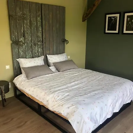 The Cat And The Owl Bed & Breakfast