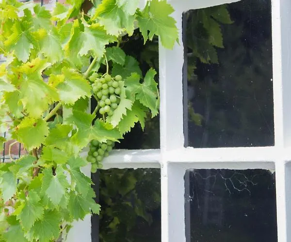 The Cat And The Owl Bed & Breakfast