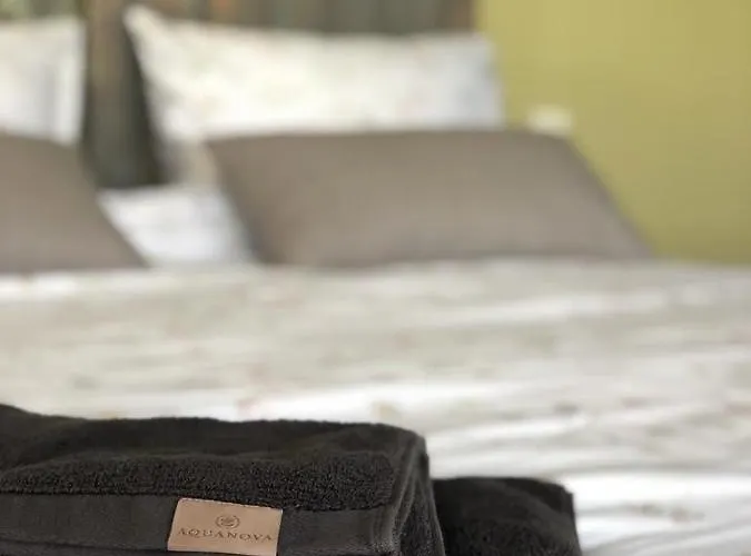 The Cat And The Owl Bed & Breakfast Groenlo