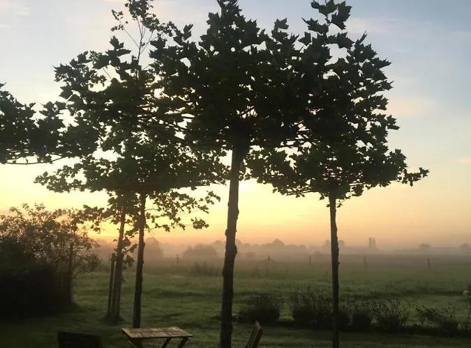 The Cat And The Owl Bed & Breakfast Groenlo