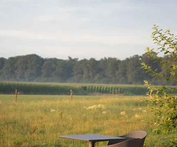 Bed & Breakfast The Cat And The Owl