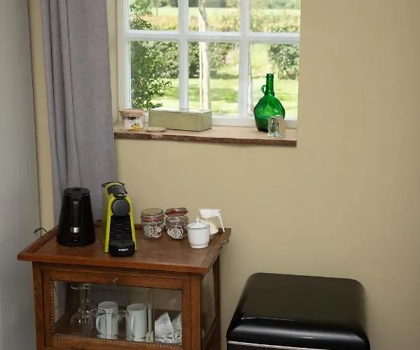 The Cat And The Owl 3*