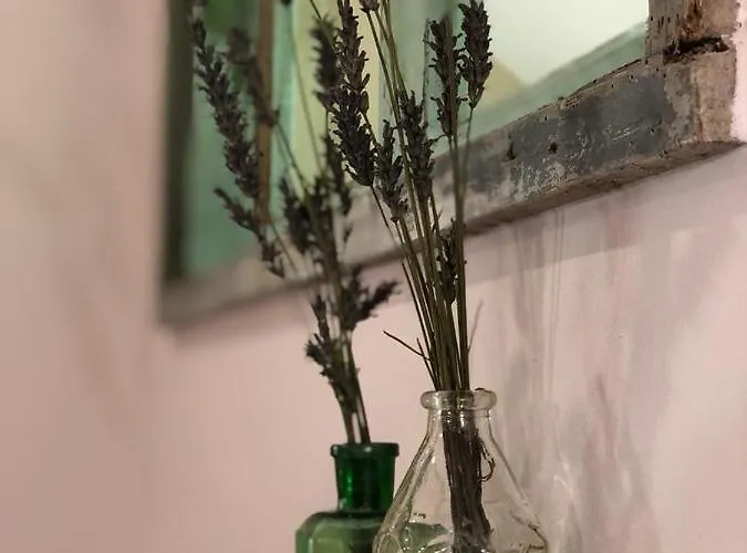 The Cat And The Owl Bed & Breakfast Groenlo