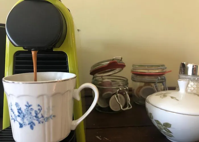 The Cat And The Owl Bed & Breakfast 3*