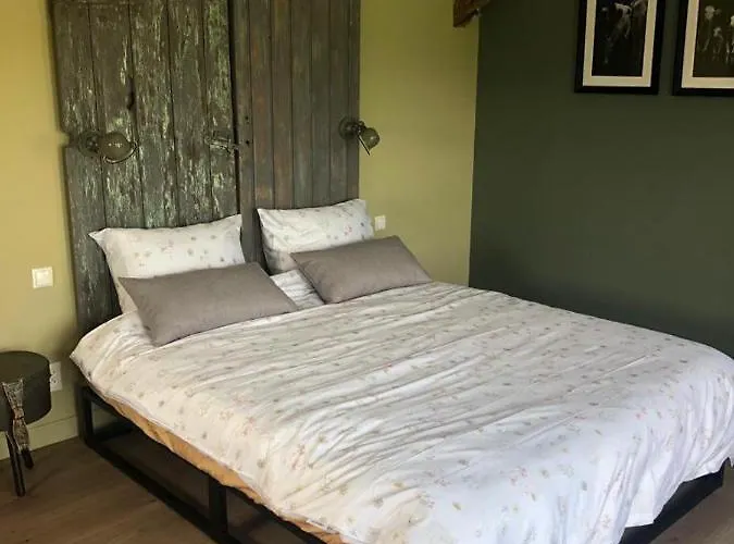 The Cat And The Owl Bed & Breakfast