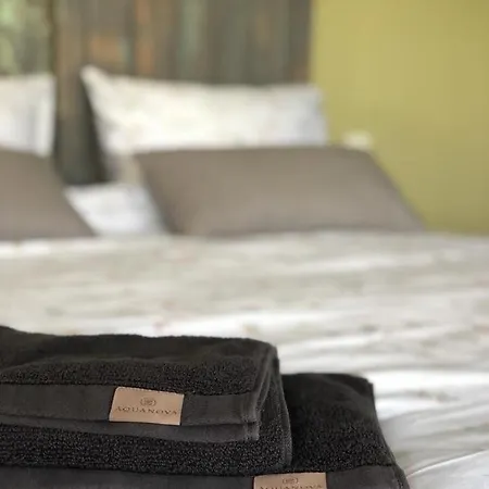 The Cat And The Owl Frühstückspension Groenlo