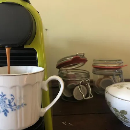 The Cat And The Owl Frühstückspension 3*