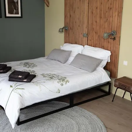 The Cat And The Owl Groenlo