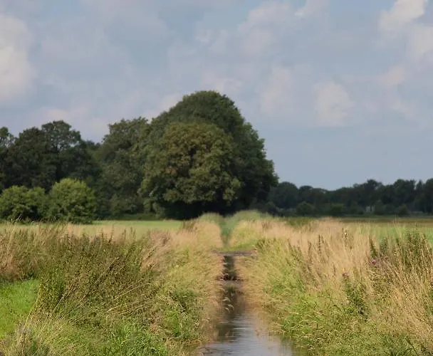 The Cat And The Owl Groenlo