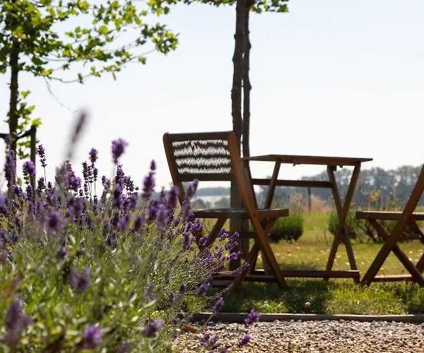 The Cat And The Owl Bed and breakfast 3*