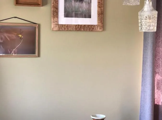 The Cat And The Owl Bed and breakfast