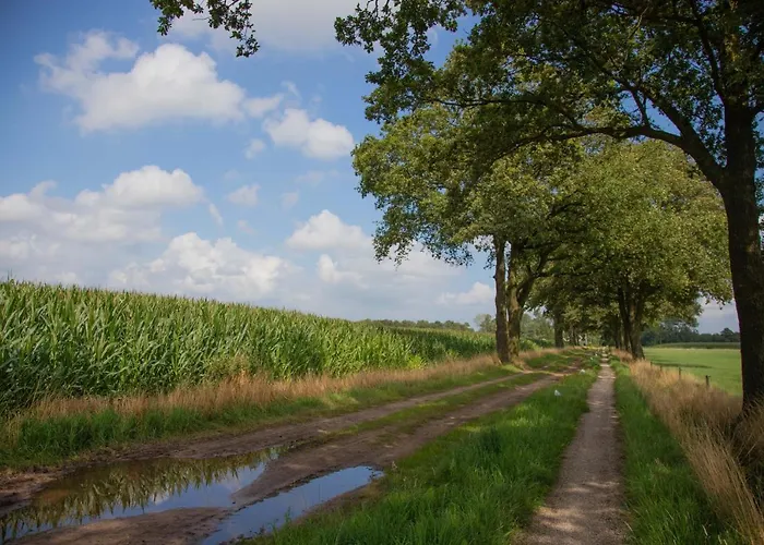 Bed and breakfast The Cat And The Owl