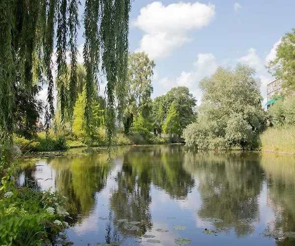 The Cat And The Owl Bed and breakfast Groenlo