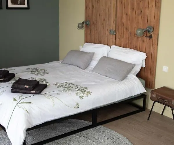 The Cat And The Owl Groenlo